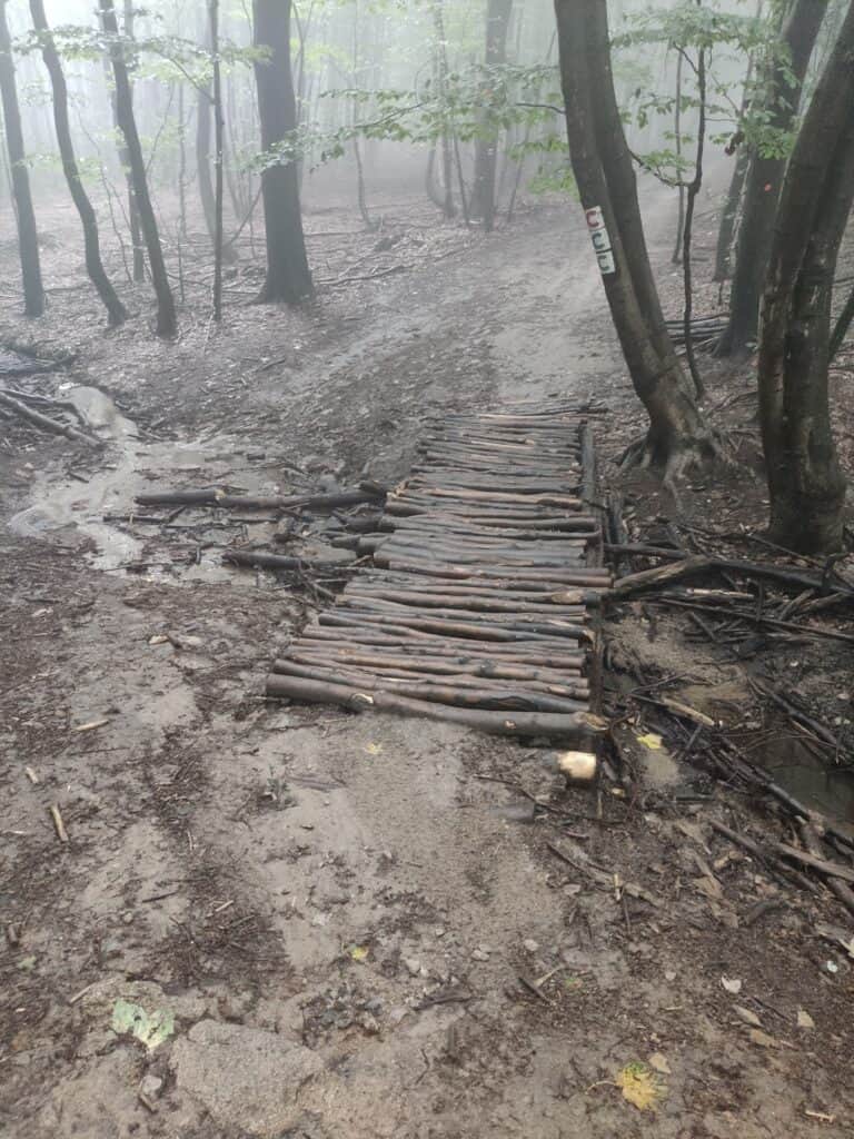 Holzbrücke im Wald
