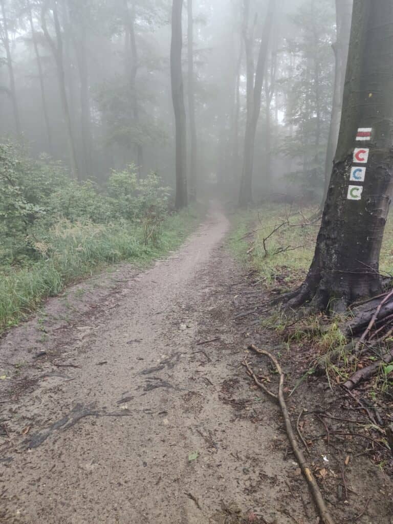 Regen in den kleinen Karpaten Die kleinen Karpaten bei Regen durchradeln
