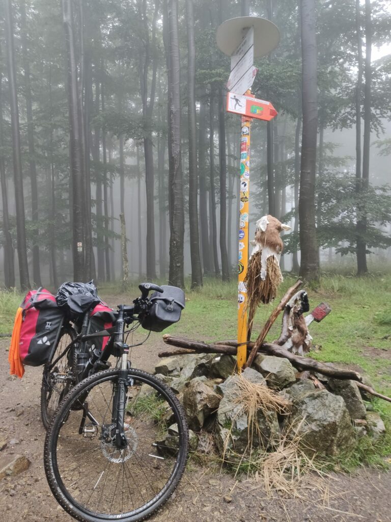 Mit Gepäck im Wald unterwegs