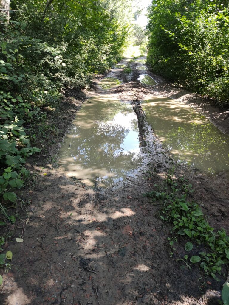 Wasserlacke mit Fahrrad durchqueren