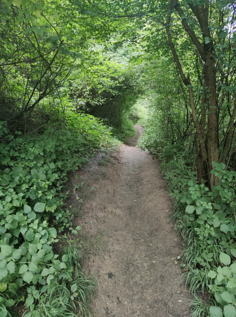 Radfahren auf Wanderwegen